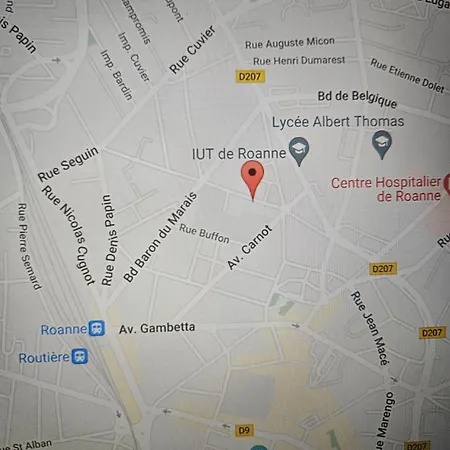 Appt Centre Ville Gare Hopital Iut Roanne Extérieur photo